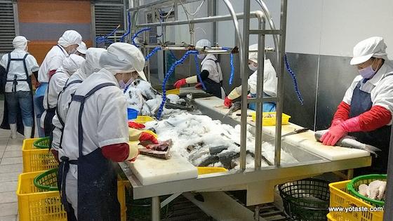 台灣最高品質頂級野生烏魚子，寄日本烏魚子推薦